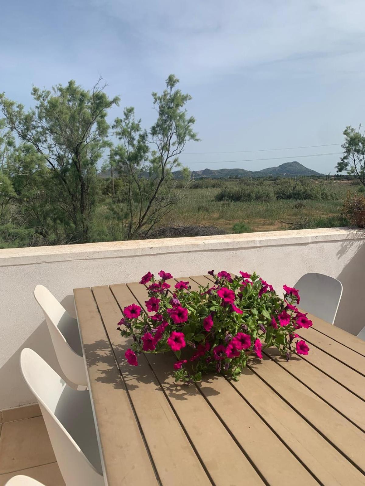 Sunny Spacious Family In * Port de Pollença